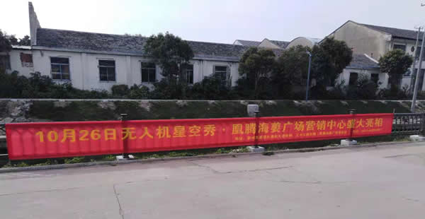 凰騰·海姜廣場鄉(xiāng)村（鎮(zhèn)）條幅制作安裝